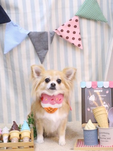 20250516りるちゃん